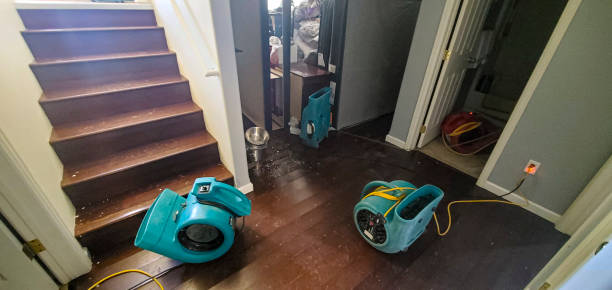 Best Water damage restoration company  in Warren Park, IN