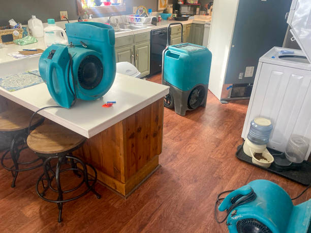 Best Sewage cleanup and water damage restoration  in Warren Park, IN