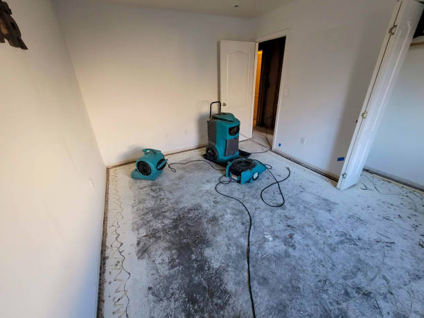 Best Mold removal after water damage  in Warren Park, IN