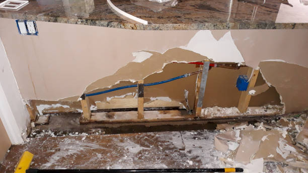 Best Water damage contractors near me  in Warren Park, IN