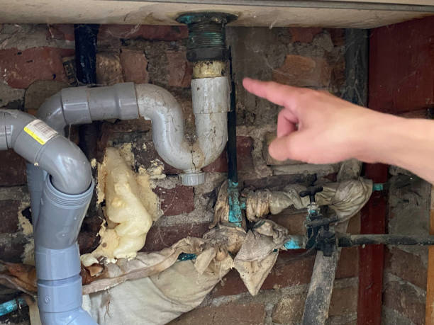 Best Flood damage cleanup  in Warren Park, IN